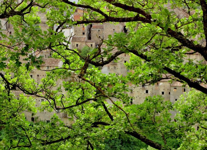 Region Molise